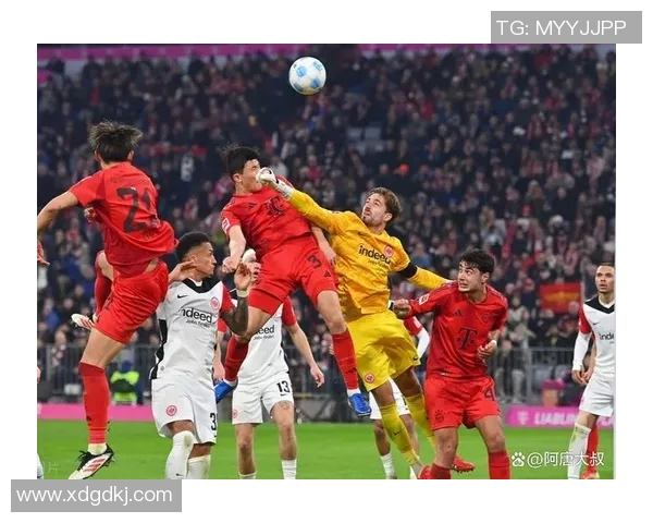 德甲再起航，球迷翘首期待新赛季的到来