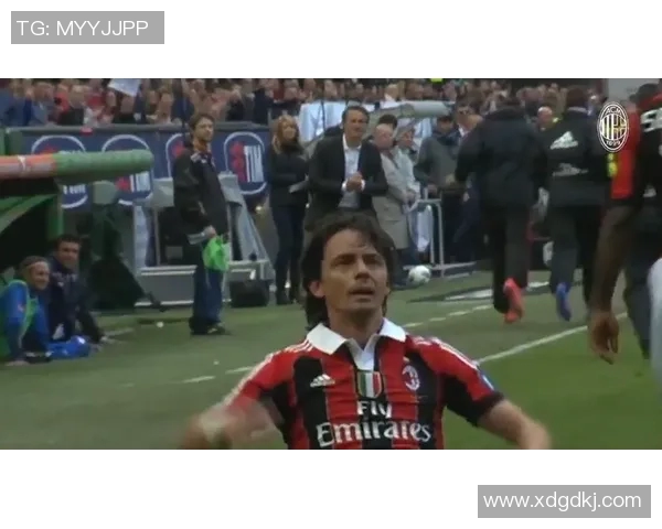 飞鱼体育俱乐部：崛起与辉煌