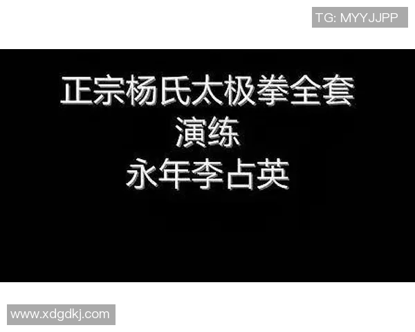杨氏85式太极拳精粹解析与实战应用全攻略