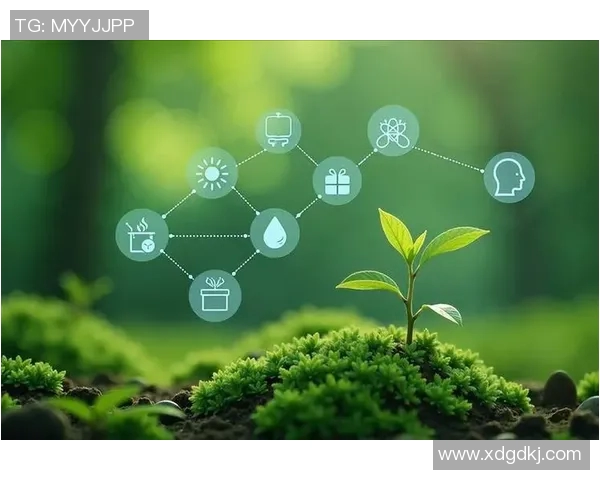 亚特兰大推出新政策鼓励清洁能源发展，推动绿色未来