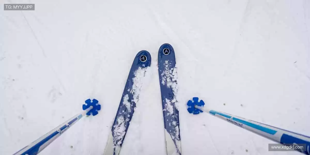 🎧 沉浸式体验,让呐喊声穿透屏幕!